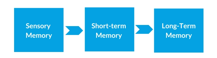 3-Memory