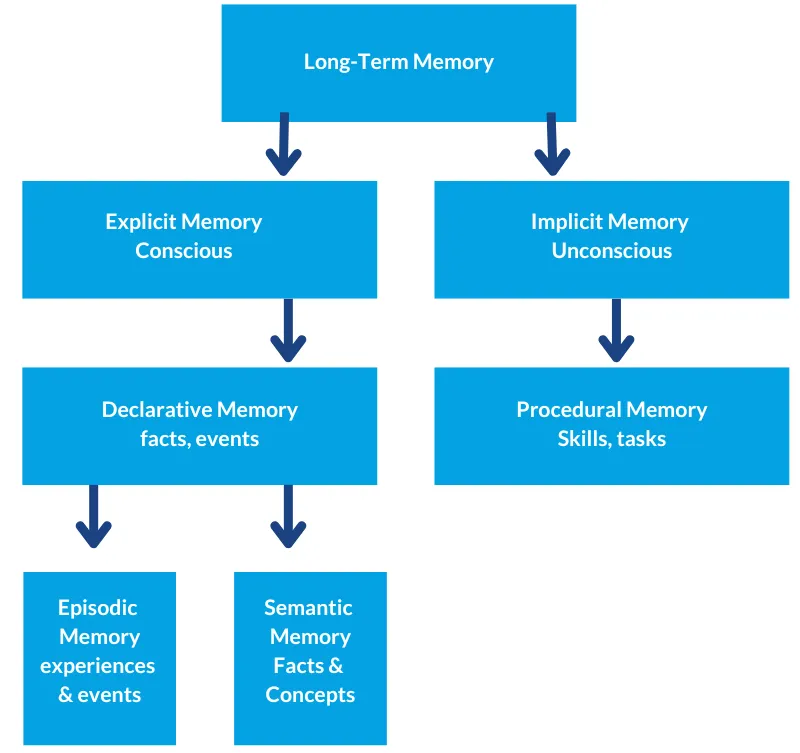 Long Term Memory
