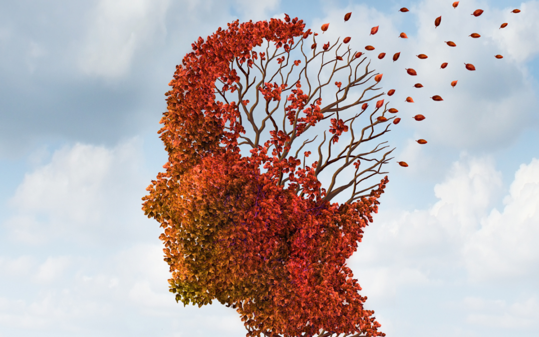 Amp your brain: Lifestyle tips for improving memory