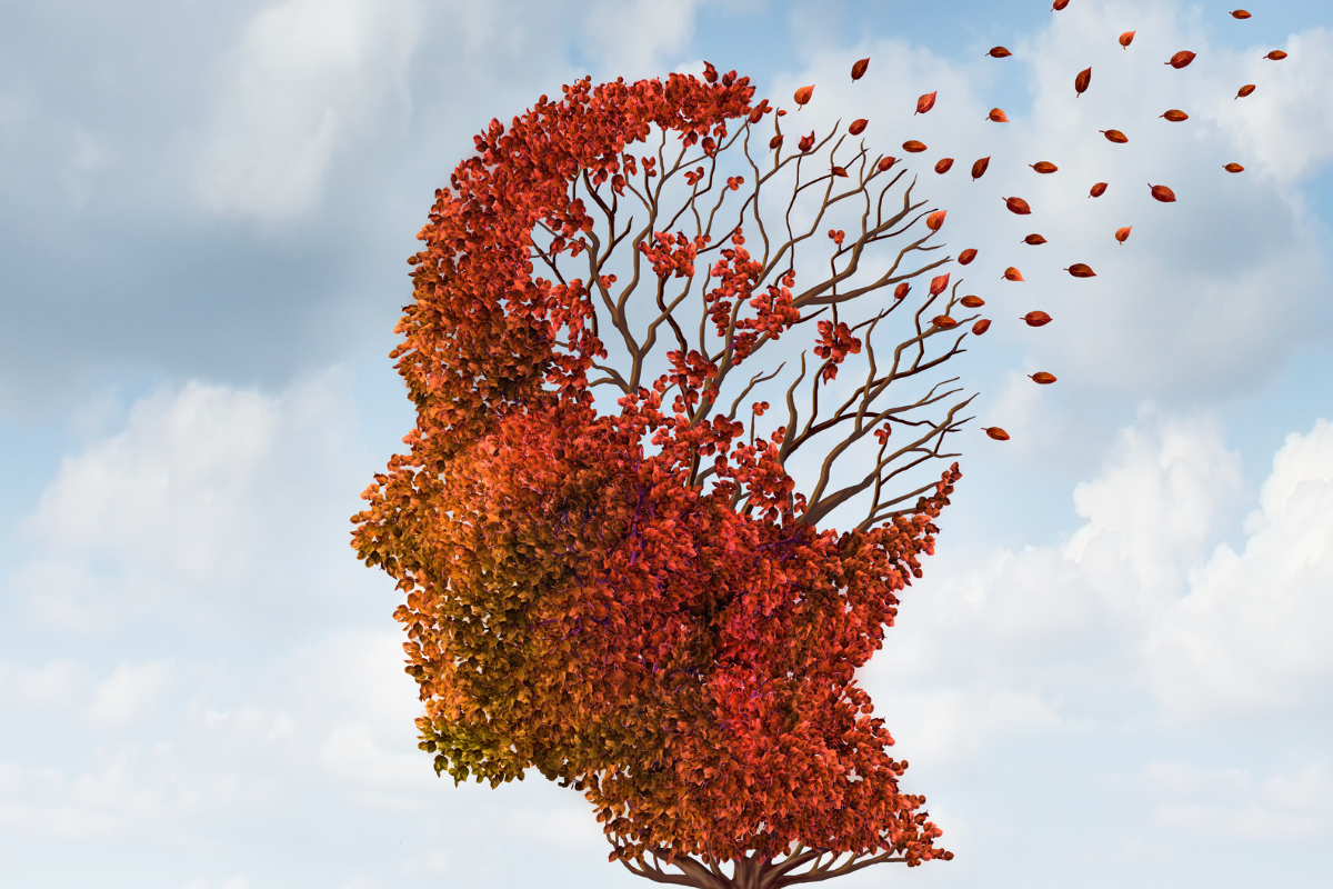 Amp your brain: Lifestyle tips for improving memory